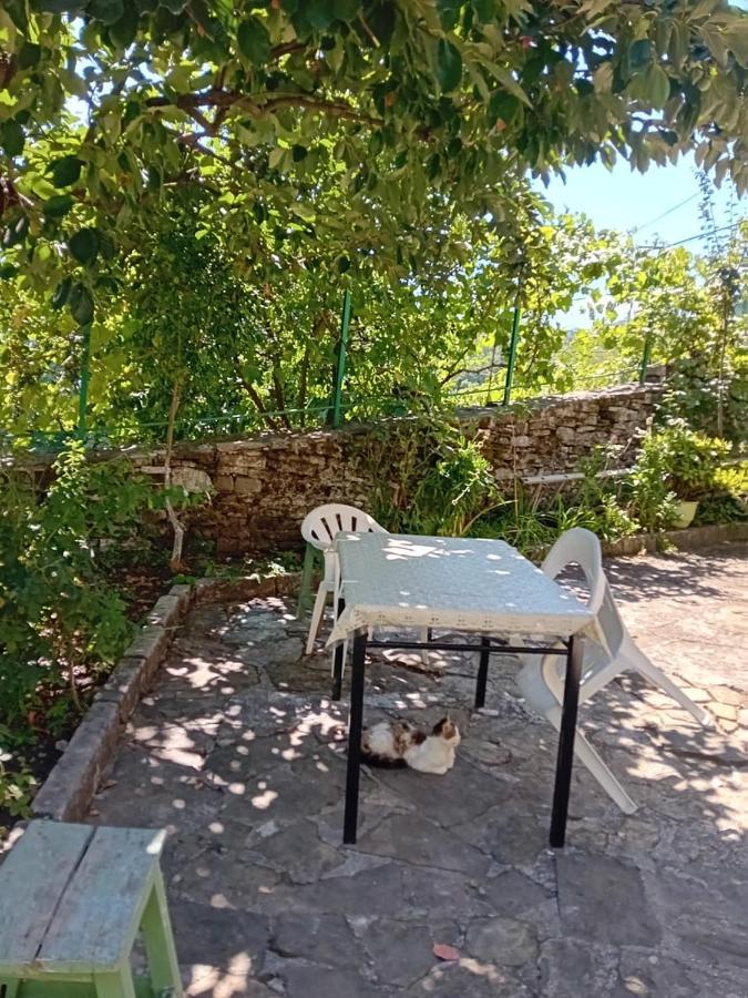 Stone Pazar Guest House Gjirokaster Luaran gambar