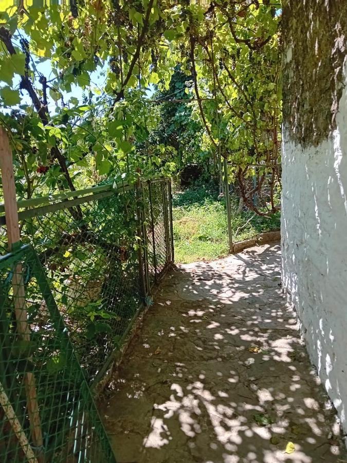 Stone Pazar Guest House Gjirokaster Luaran gambar